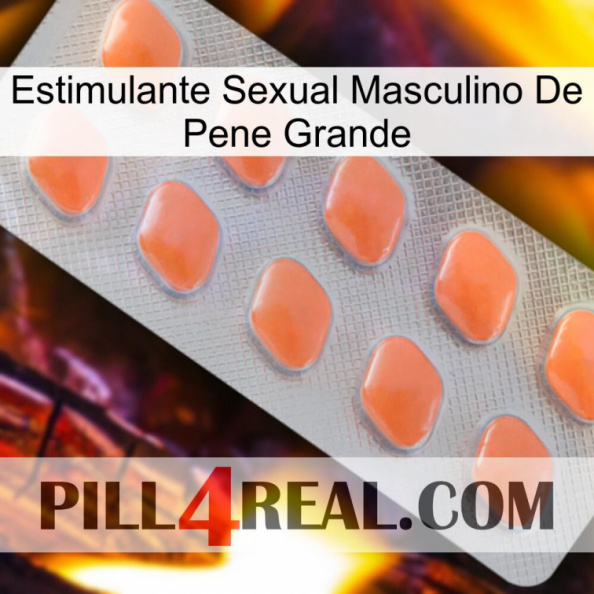 Big Penis Male Sexual Stimulant 26.jpg